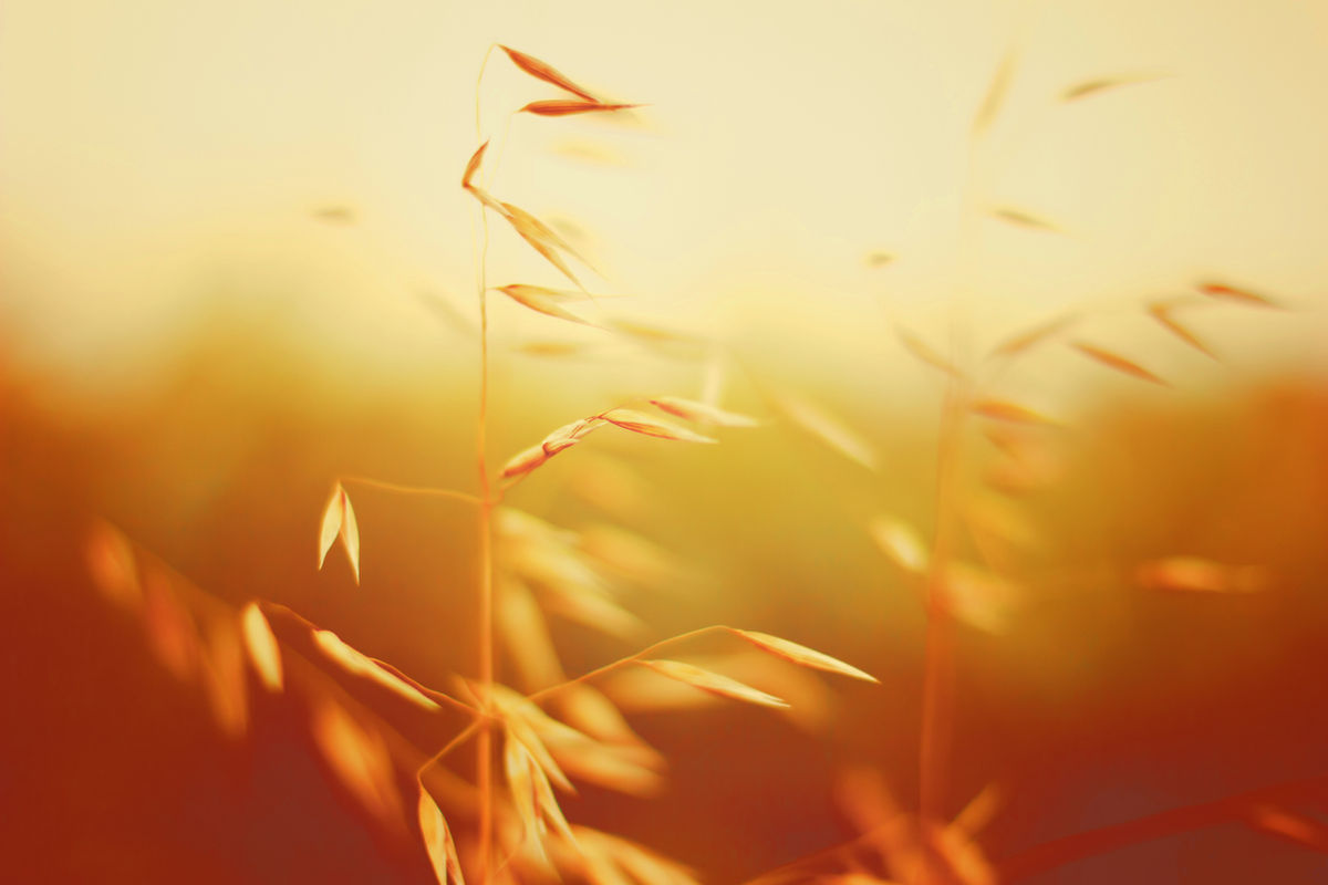 Stimmungsbild Relax und Energie